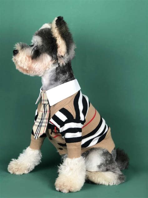 burberry brit best puppy in show|burberry her men's clothing.